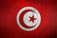 La Xarxa Espanyola FAL condemna els atemptats de Tuníssia