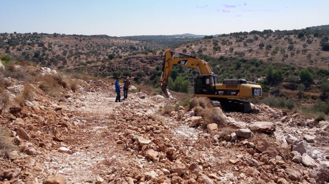 Cultivos, olivos y agua: el proyecto cooperativo de FPSC en Cisjordania