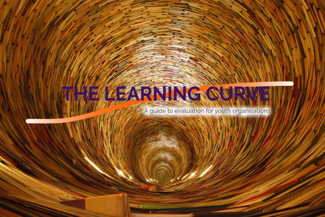‘The Learning Curve’: una guia digital per a avaluar la feina de la seva entitat