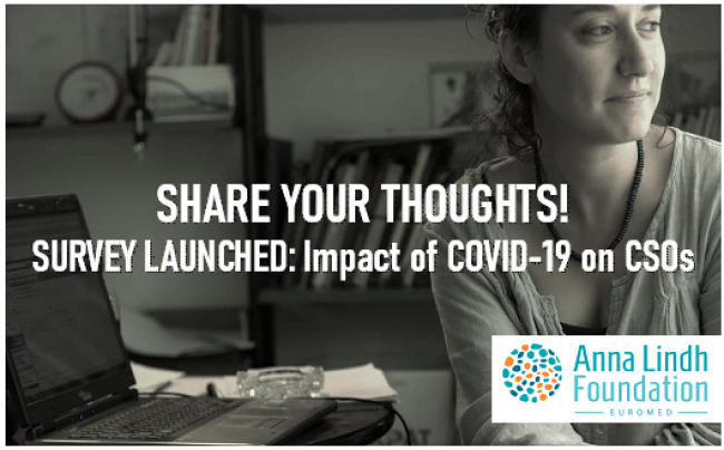 ENCUESTA : El impacto de la COVID-19 en las ONG 