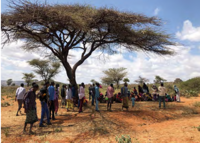 Combatir el cambio climático y la inseguridad alimentaria en áreas rurales de Etiopia y Palestina